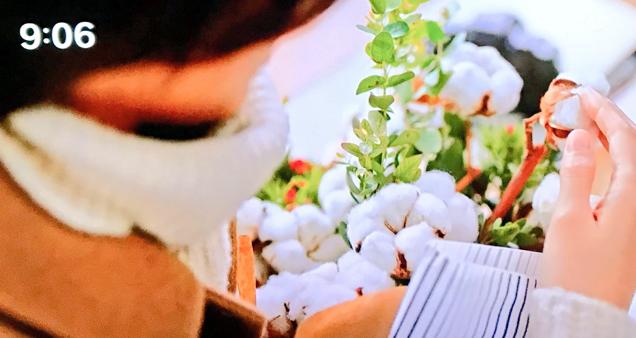 みんちぬ 14話 兄妹の再会 全身赤の謎の美女が何かくれる時は野菜とか素朴な植物で 初めてくれたのは白菜だった 白菜だから多分 純粋な心でいてねとかそういう意味かと思うし 今話のは 綿花だとしたら 調べた花言葉は優秀とか母の心とかなのでなるほどと