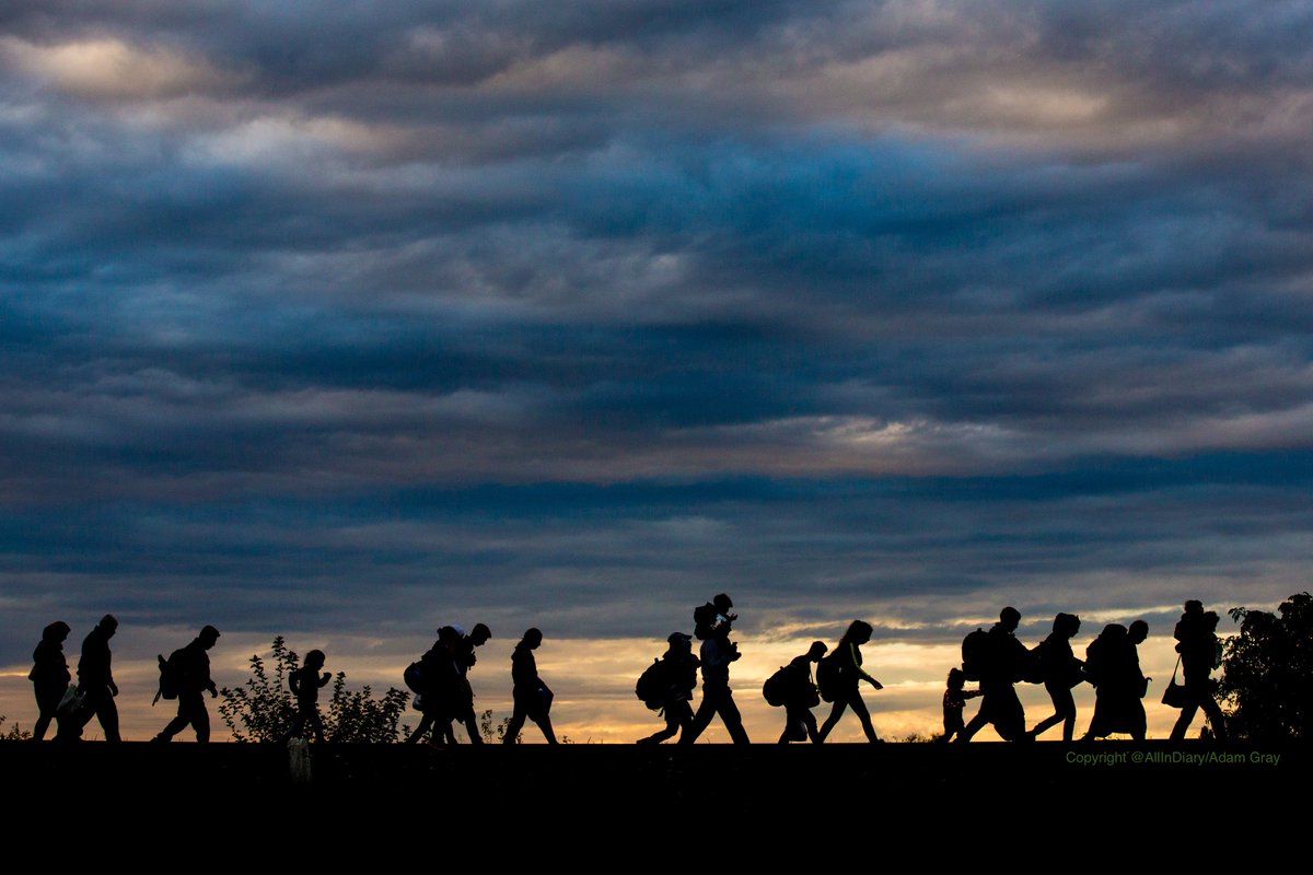 AllInDiary's tweet photo. Protecting people on the move is challenging for humanitarian actors, as #asylum-seekers, refugees and migrants increasingly use the same routes. AID highlights this emerging issue in a new section on #Refugees and #Migration #Protection. See it here https://t.co/OgqSocu70N https://t.co/D4jQ5ONi0z