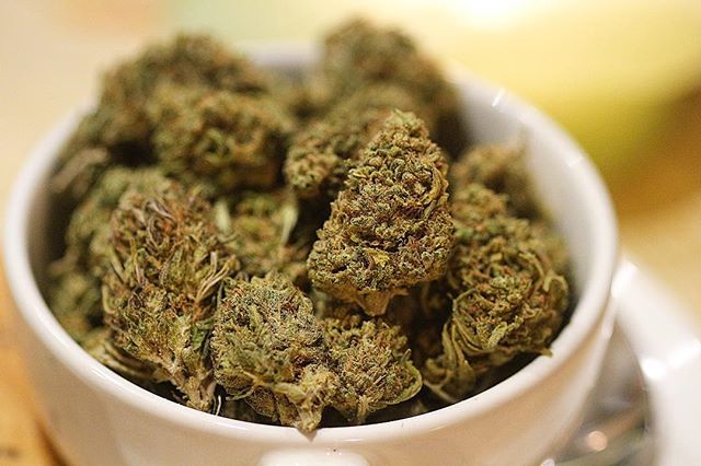 weedrev420's tweet photo. I’m glad to announce that the guys at @cbdchronic have finally open their website to all preorders and they will proceed to the shipment on this coming Tuesday !! GO SHOW THEM SOME LOVE !!!
-
-
-
-
-
-
-
-
-
-
-
-
-
-
-
#cbdweed #cbdbud #cbditaly #cbduk … https://t.co/tfsoHkDUUL https://t.co/vCZFGgm69v