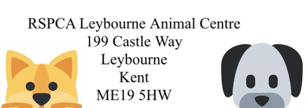 stapplehurst's tweet photo. @applehurstroast #RSPCA @RspcaKentWest #Coffee #setup #laybourne #coffeetime #inafield #funday #longday #dogs #doglovers #Kentevents @KentDiscoveries @shrewsmorris @KentFarmers @retailmentoring https://t.co/M4yp7WUnmB