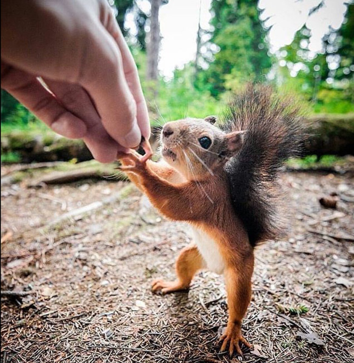 ramblingsloa's tweet photo. Respect others
Help others
Love others
These are the keys that unlock our soul.

A Douglas Williams https://t.co/0r2cGOmwyp