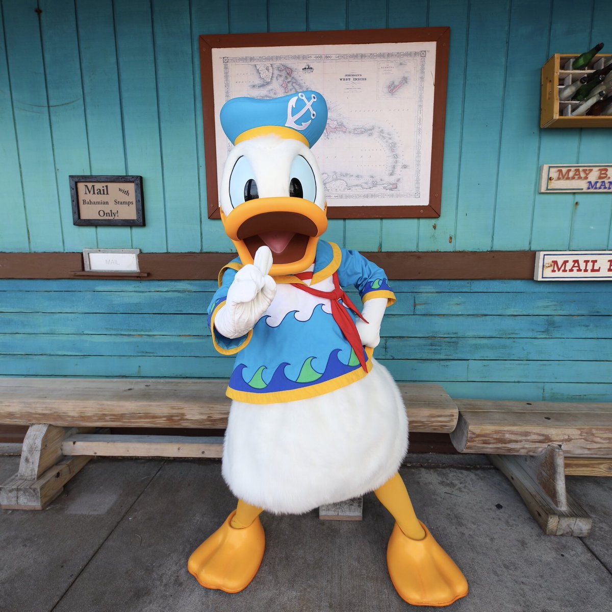 足の裏 Pa Twitter ドナちゃん お誕生日おめでとう これからもずっとナンバーワン ドナルドダック生誕祭18