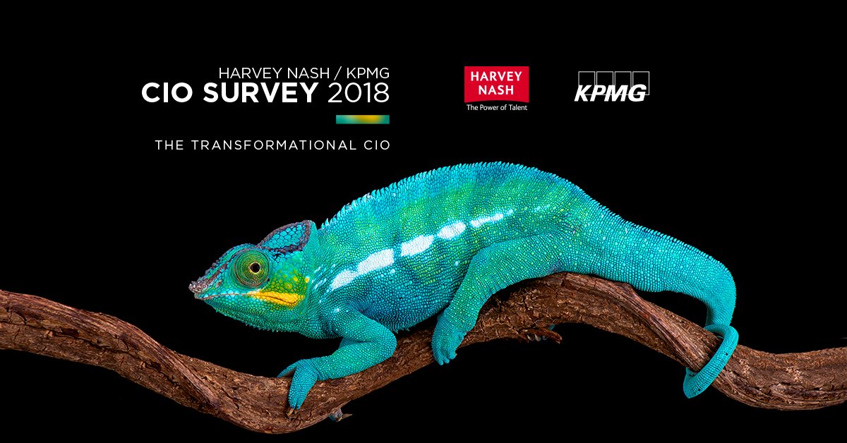 HarveyNash's tweet photo. 46% of organisations #outsource to add to their skillset rather than saving money. What else did we find out? #hnkpmgciosurvey https://t.co/7BpSVZ9XiZ https://t.co/wCOLouN4DH