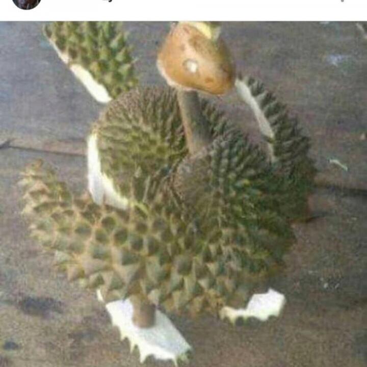 QuoteSekilas's tweet photo. ayo pergi bersamaku on #BIGOLIVE https://t.co/nu1l6kE6Ry https://t.co/zjBagNOXGz