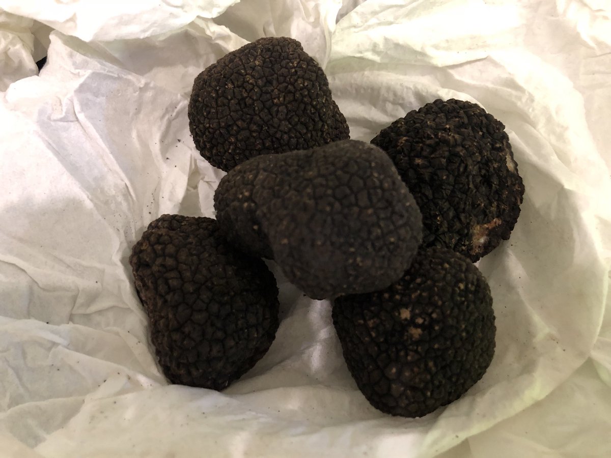 CherylStandley's tweet photo. Thank you @trufflehunteruk for the amazing truffles for our #gourmetnight2018 π they arrived on time! Thanks for getting them to us so quickly ππΌ #blacksummertruffle https://t.co/YGMcKIhaHP