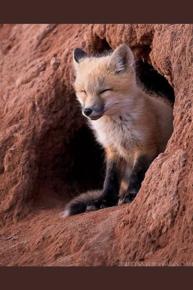 smart1800's tweet image. 