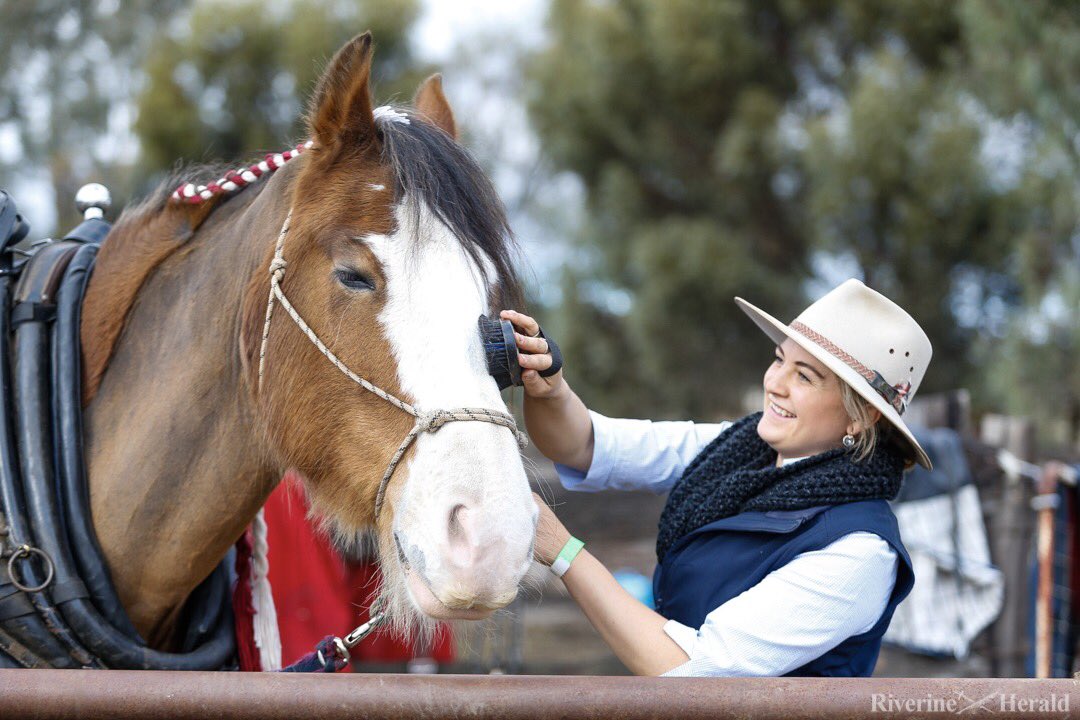 riv_snappers's tweet photo. Highlights from the 2018 Steam Rally. 📸 Luke Hemer 

@RiverineHerald 

#Echuca #tourism #photography https://t.co/7N5ndHpAxq
