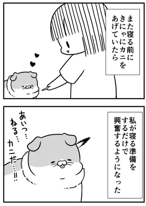 猫のきにゃと、ごとうさん(168) 寝る前  #マイナビニュース 
