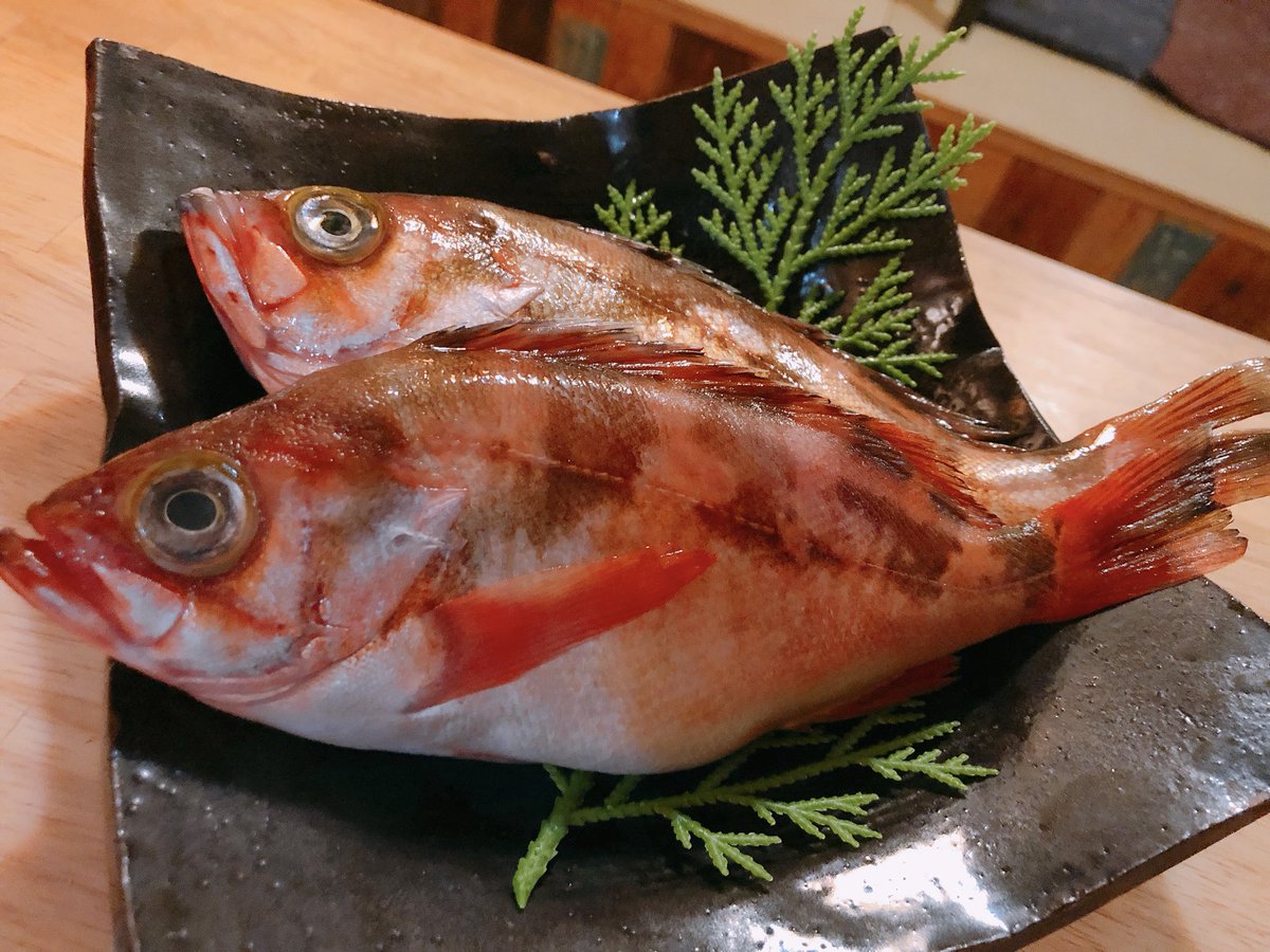 無料ダウンロードメバル 酒蒸し すべての魚の画像