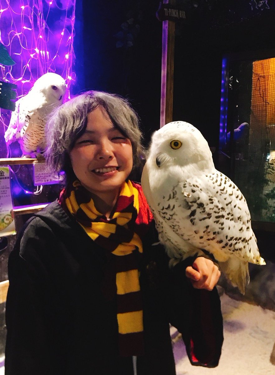 アウルの森 保護した動物の日記 Twitter પર 大好評なフクロウの手乗せ体験ですが なかでも断トツでシロフクロウ のヘドウィグが大人気 ご希望の方には衣装も貸し出してますので 気軽にハリーポッター気分が味わえます シロフクロウを乗せられるのは浅草