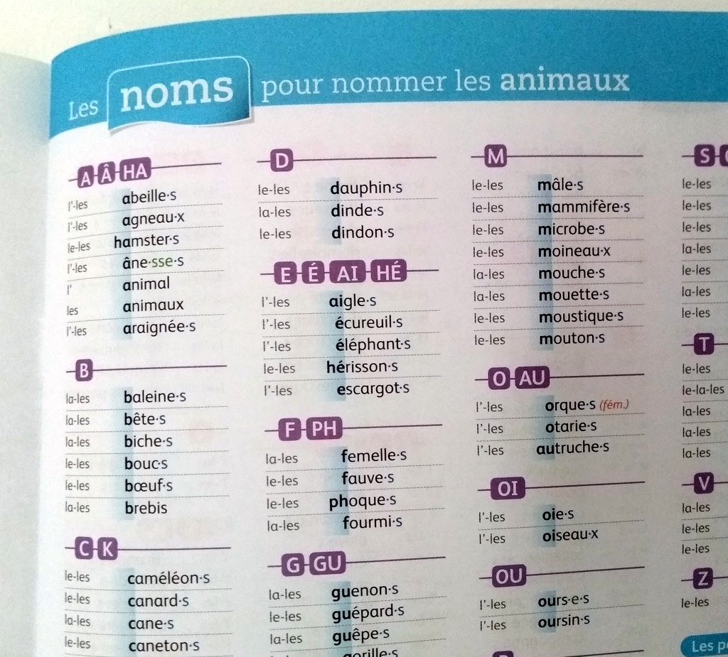 Antoine_Fetet's tweet photo. Il est arrivé ! Heureux que ce projet qui me tient à cœur depuis si longtemps aboutisse...
Les élèves n'ont plus à deviner comment s'écrit le phonème initial d'un mot pour trouver son orthographe...
https://t.co/BLhvI62bdU https://t.co/c0W6KRtKdg