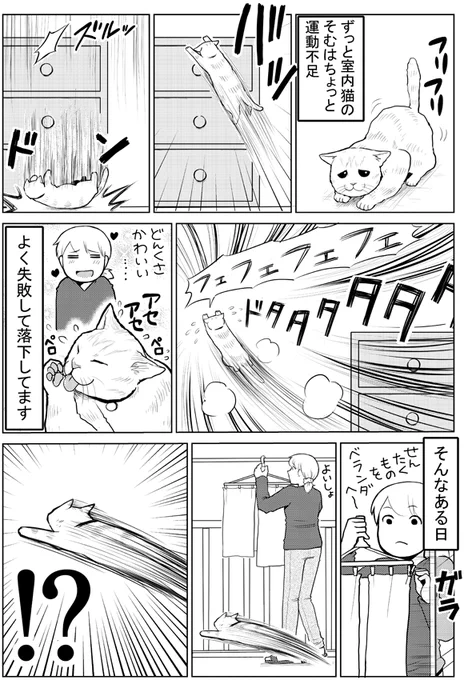 そむちゃん脱走事件　#タレ目猫そむ 