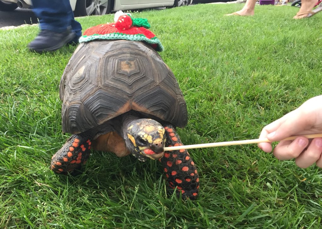 Mike Rinn tweet media