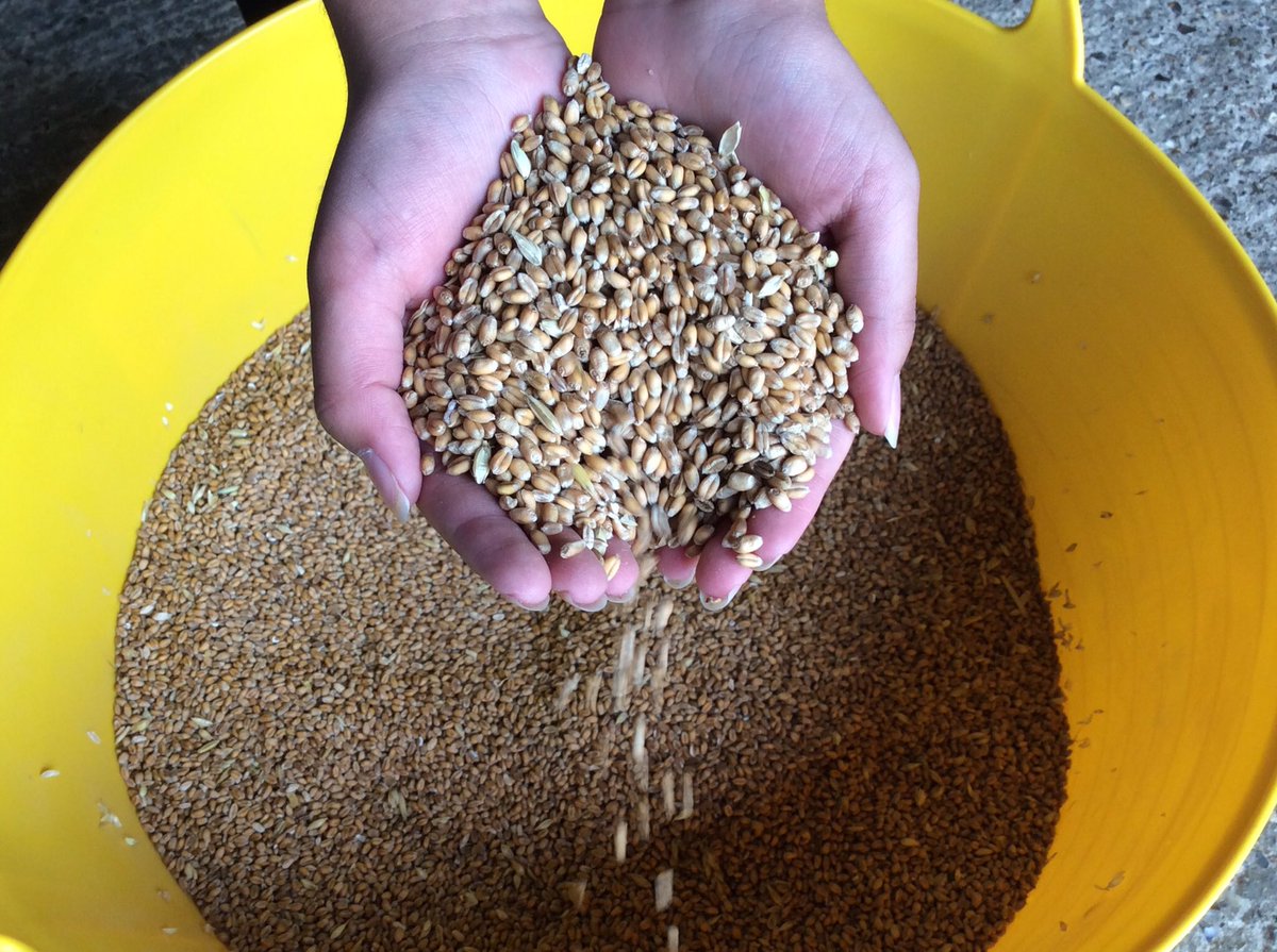 😎 forecast for tomorrow. What better way to spend a Sunday with your friends and family than visiting  farm on #OpenFarmSunday #ofs18
Huge thank you to the 350+ farms who are opening up and down the UK for <a href="/OpenFarmSunday/">OpenFarmSunday</a>