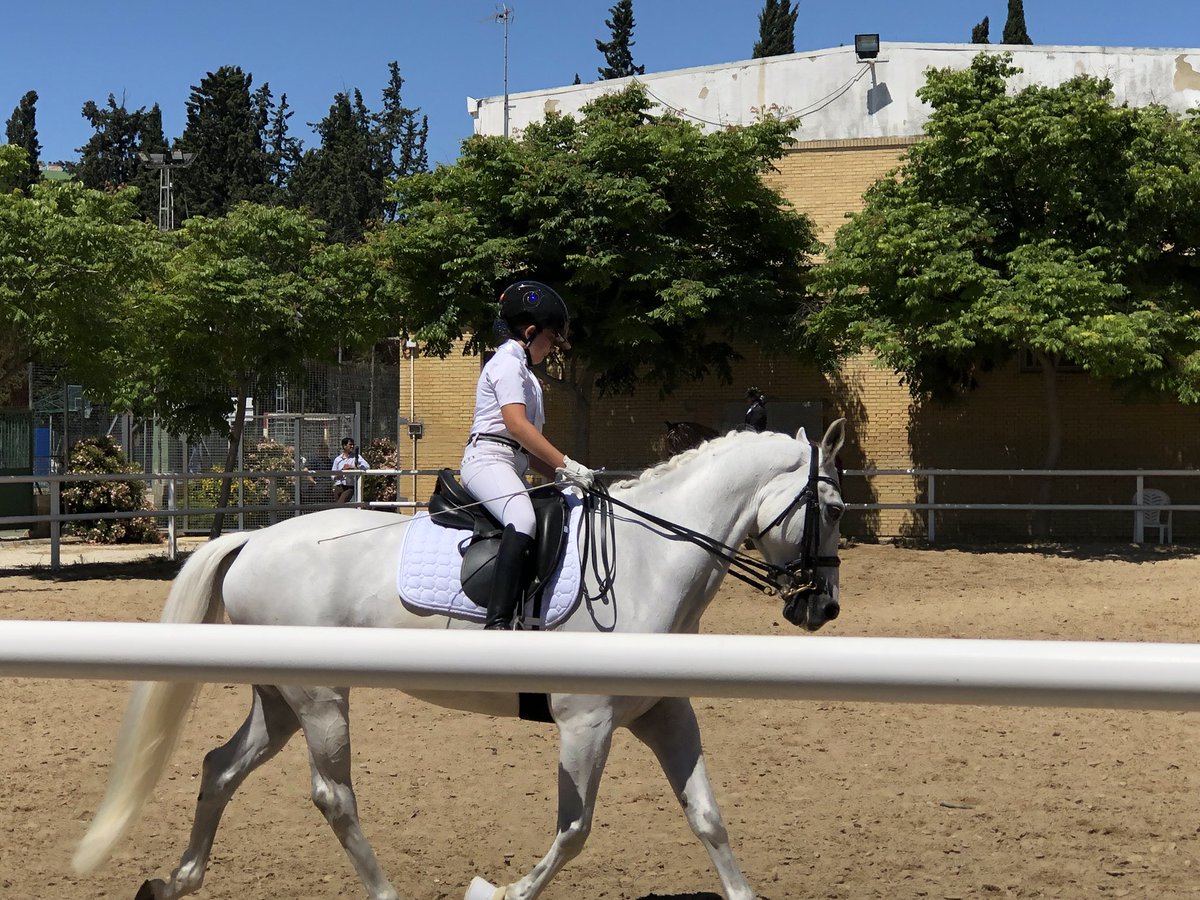 JerezesCaballo's tweet photo. Mañana de sol e hípica en @ClubNazaret con la celebración del CDT y adaptada IV Copa Andalucía Jerez Ciudad Europea del Caballo 2018 https://t.co/hyKAvQV0wd