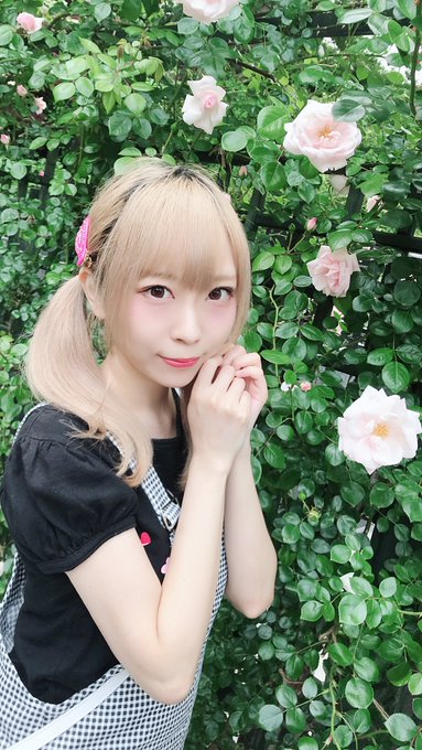 コスプレイヤー天上てんこのTwitter画像37