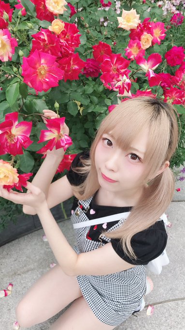コスプレイヤー天上てんこのTwitter画像36