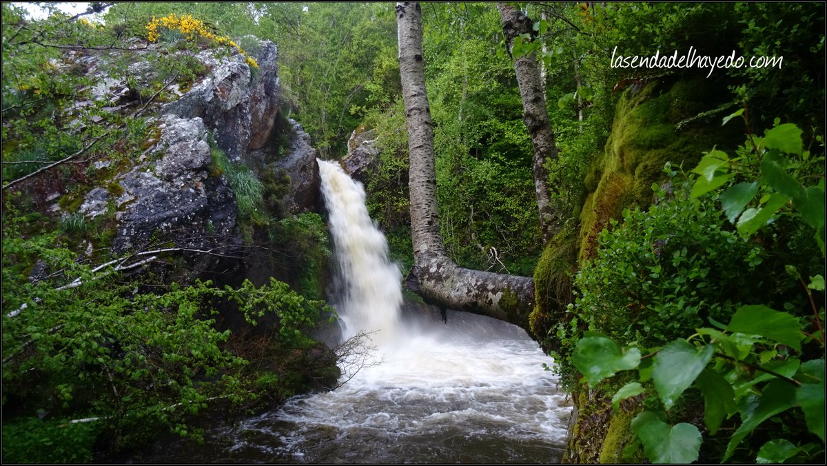 sendadelhayedo's tweet image. La montaña cantábrica está hasta arriba 🔝de tanta agua. Aunque nos gustaría ver algo el ☀, da gusto ver nuestros ríos, como el Porma, bien cargardines a las puertas de verano #puebladelillo #leonesp En el enlace, más sobre este lugar ▶ bit.ly/2Hy40BF #WaterIsLife