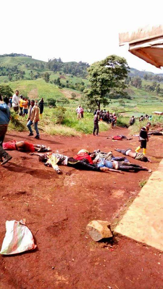 manyu_tara's tweet photo. #NewAgeUK, the faces of those putting profits over lives of #SouthernCameroonians. #PaulBiya genocide in #SouthernCameroons means nothing to them. #Ambaboys this company must be stopped. @UKinCameroon @foreignoffice @10DowningStreet https://t.co/dMuEXKDGPn https://t.co/RIFZOkA1cS