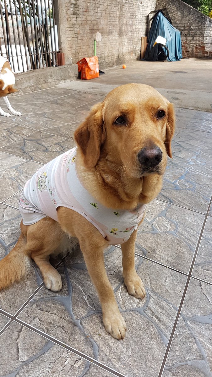 Leonam66's tweet photo. o que dizer dessas filhas na moda inverno 2018 https://t.co/OS32cIEwhO