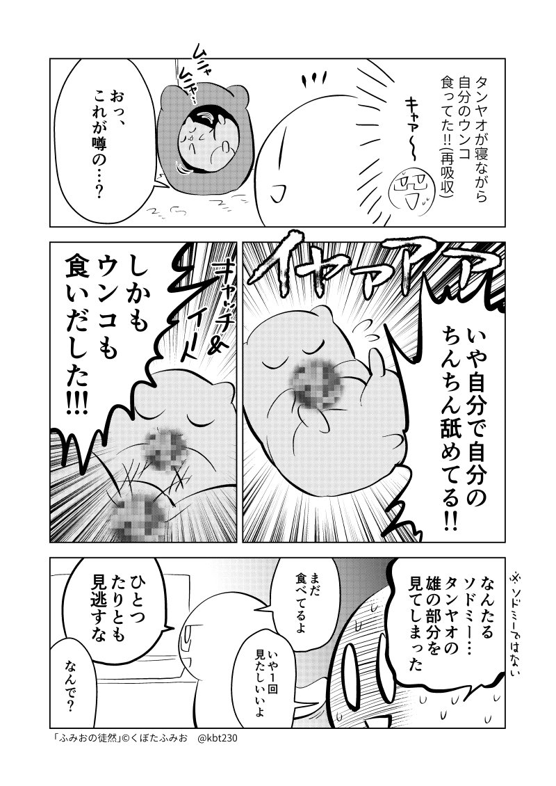 タンヤオ（ハムスター）観察日記です　#ふみおの徒然 