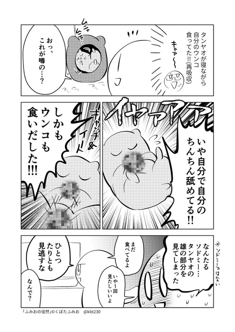 タンヤオ（ハムスター）観察日記です　#ふみおの徒然 