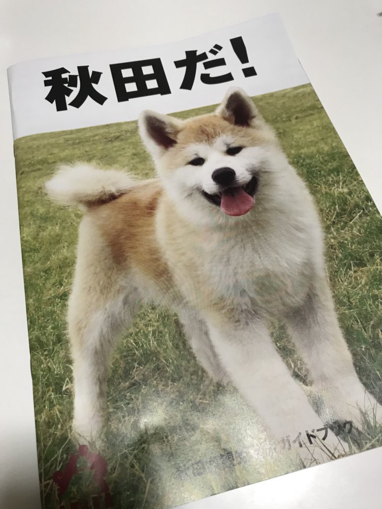 山田ホタテ En Twitter 秋田県の観光総合ガイドブックが最高です ページのそこかしこに散りばめられた秋田犬を追いつつ観光名所が紹介されてて 行くしかないと思わせる 何よりすごいのは表紙に秋田犬だけで 秋田だ というデザイン性の高さ