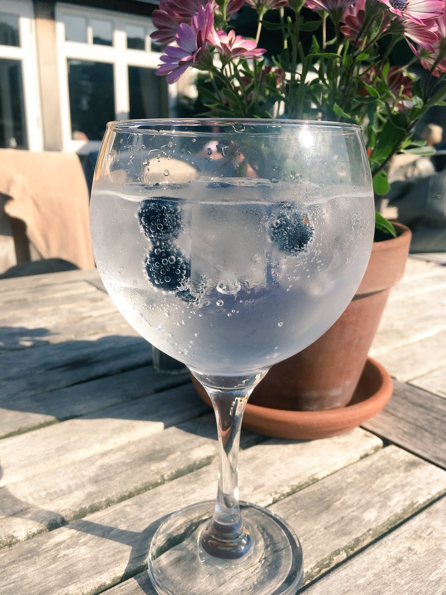 fredandbirdy's tweet photo. Work hard, play harder #cheers #busymorning #chilledafternoon #brockmans #gin #WorkLifeBalance https://t.co/Zu23HnlDfL