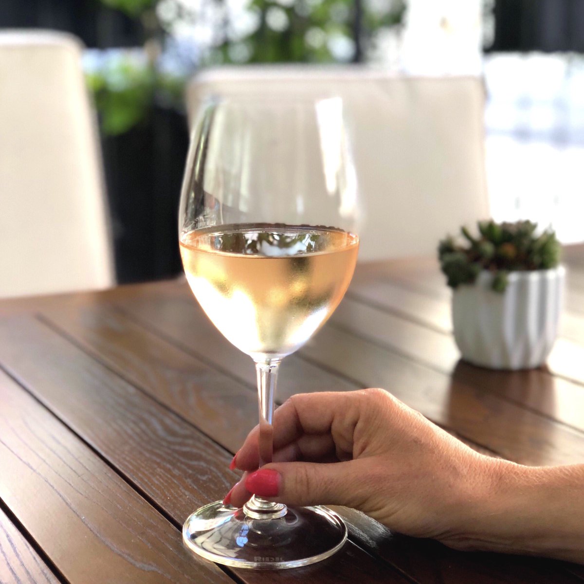 brevadtla's tweet photo. Celebrate Rosé Day with a glass of Domaine de Cala ‘16. #NationalRoséDay #BrevaDTLA #HotelFigueroa @domainedecala #calamoments https://t.co/nyAbRlcOB9