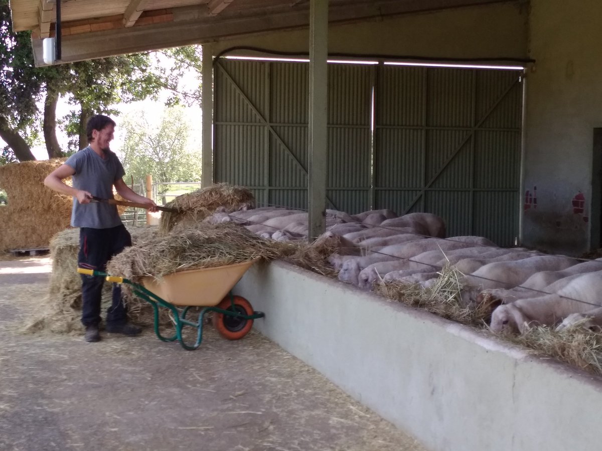 Primer dia de <a href="/BenvingutsPages/">Benvinguts a Pagès</a>. Molta gent i moltes preguntes, encantats de respondre-les! <a href="/Cons_Llucanes/">Consorci del Lluçanès</a> <a href="/formatgesbetara/">Formatges Betara</a>