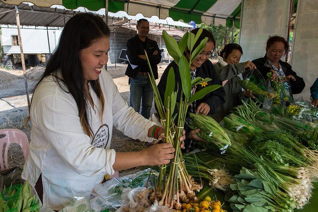 ADB_HQ's tweet image. Global #greenvision is do-able, with an effort bit.ly/2HzXPNs via @ClimateNewsDay