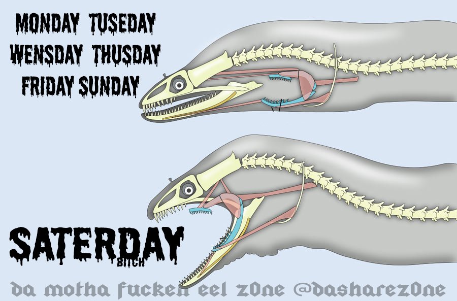 THE TEETH COME OUT ON SATERDAY, @ https://t.co/Qtp3PuUDXE