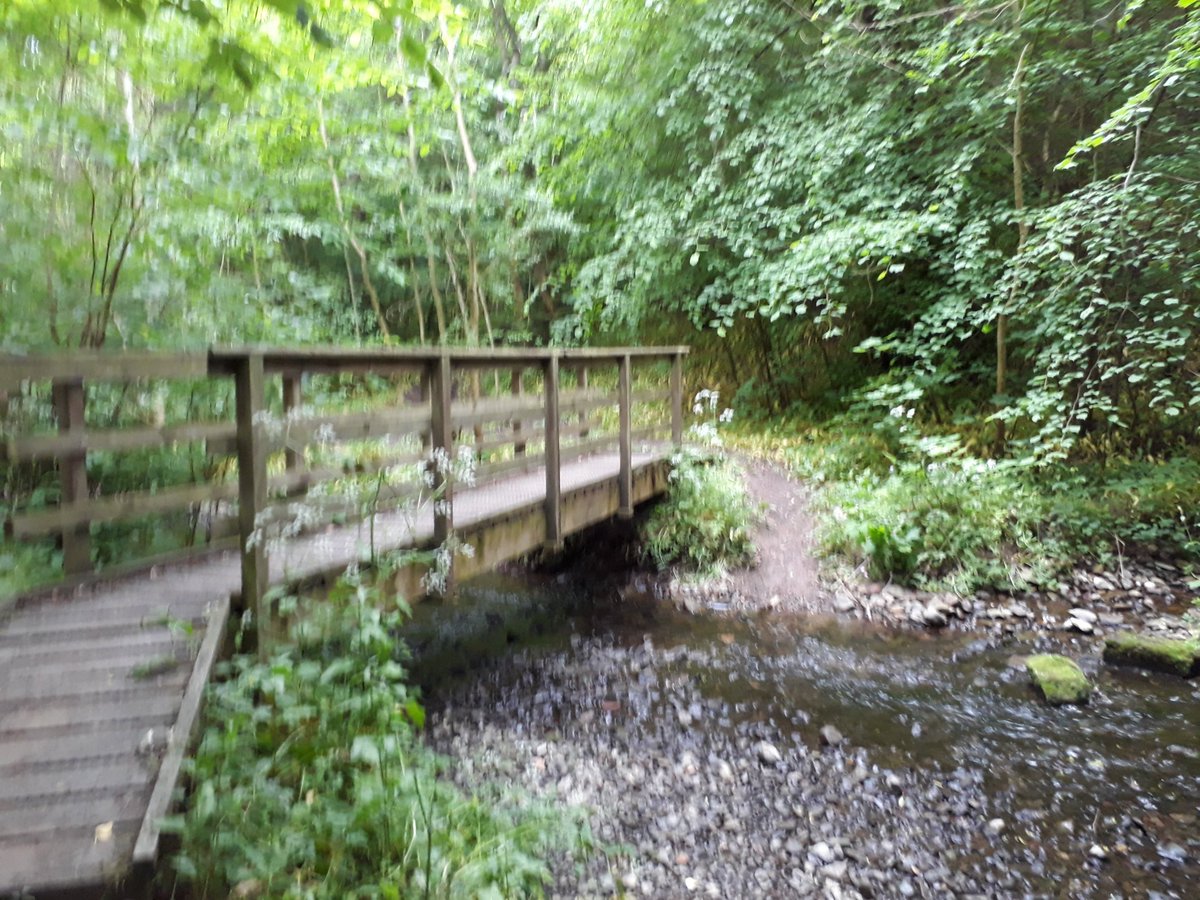 kvtr01's tweet photo. More pics
#SCWU recce https://t.co/5KQKjVSg64