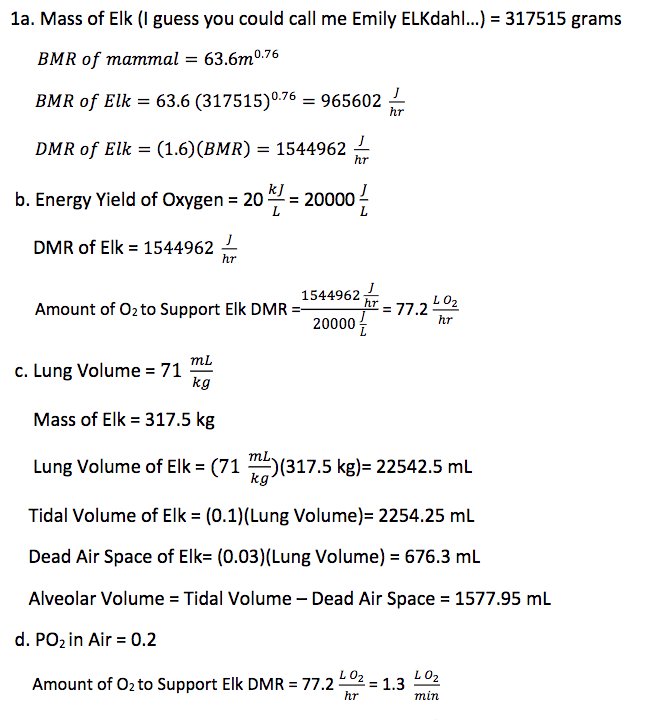 Fishguy_FHL's tweet image. Pick a mammal with same 1st letter as your last name. Calculate metabolic rate, lung volume, dead air, breathing rate, heart volume, heart rate.

#googleWontHelp
#comparativePhysiology
#loveTheseStudents
