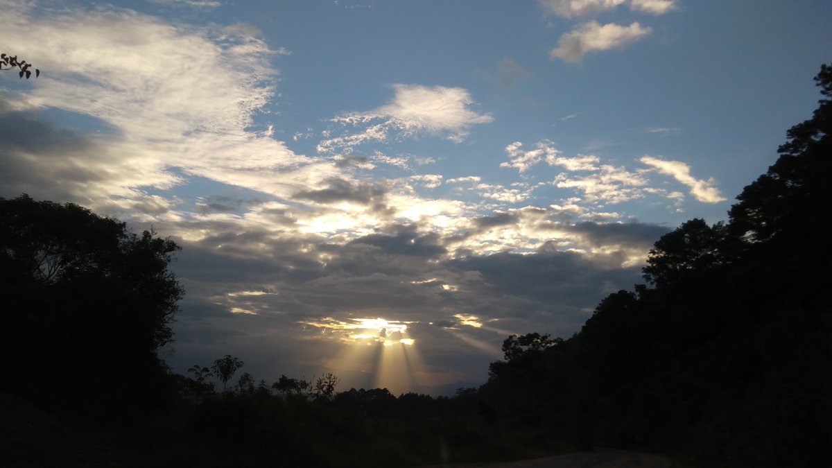 ofeliaamparo1's tweet photo. @ralbores @ralbores el mas hermoso Municipio; atardecer en Ocosingo, Chiapas...#AlboresGobernador https://t.co/iBPPaXHRiC