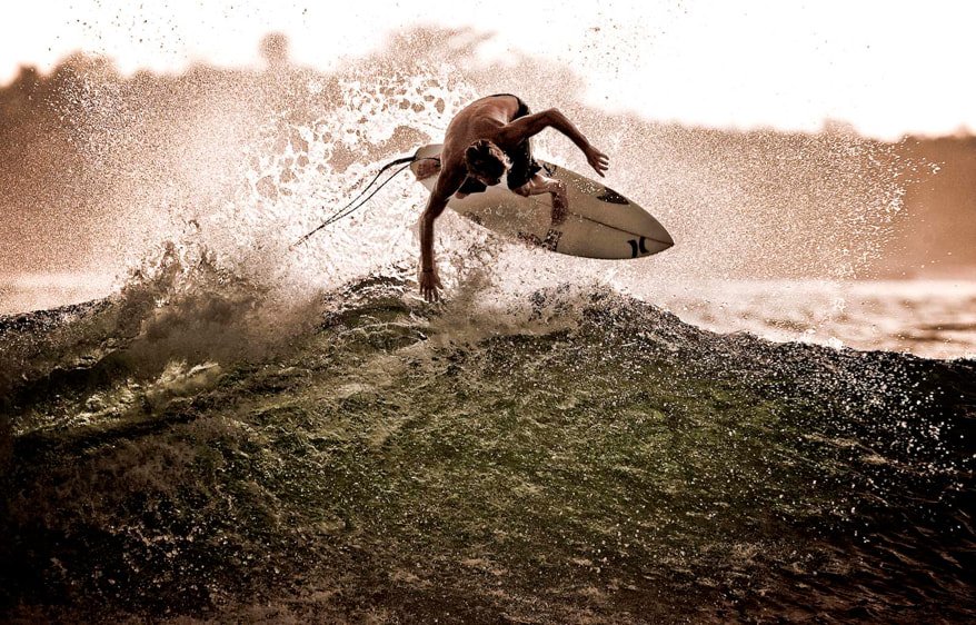 Tim taj sports action. Художник со смыслом современные серфинг. Картинка инопланетянин на серфе. Orang utan on the Windsurf by David Tazzyman. Surf Rider time for Action.