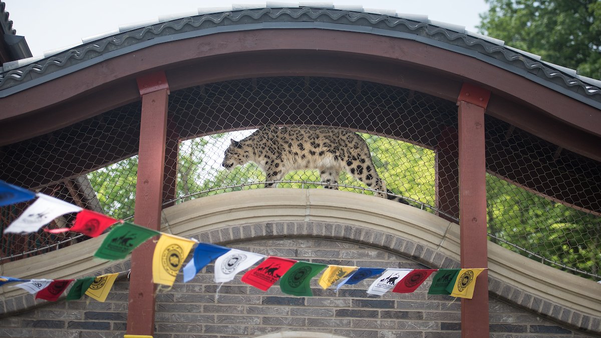 Cleveland Metroparks Zoo tweet media