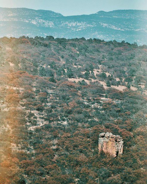 Reposting @danesk_traveler:
Sierra📍La piedra de la novia.
•
•
•
•
#mexico #travel #instagood #Nikon #photooftheday #YourShotPotographer #tripadvisor #colors #adventure #primerolacomunidad #art #nature #style #paradise #spring #mountain #landscape