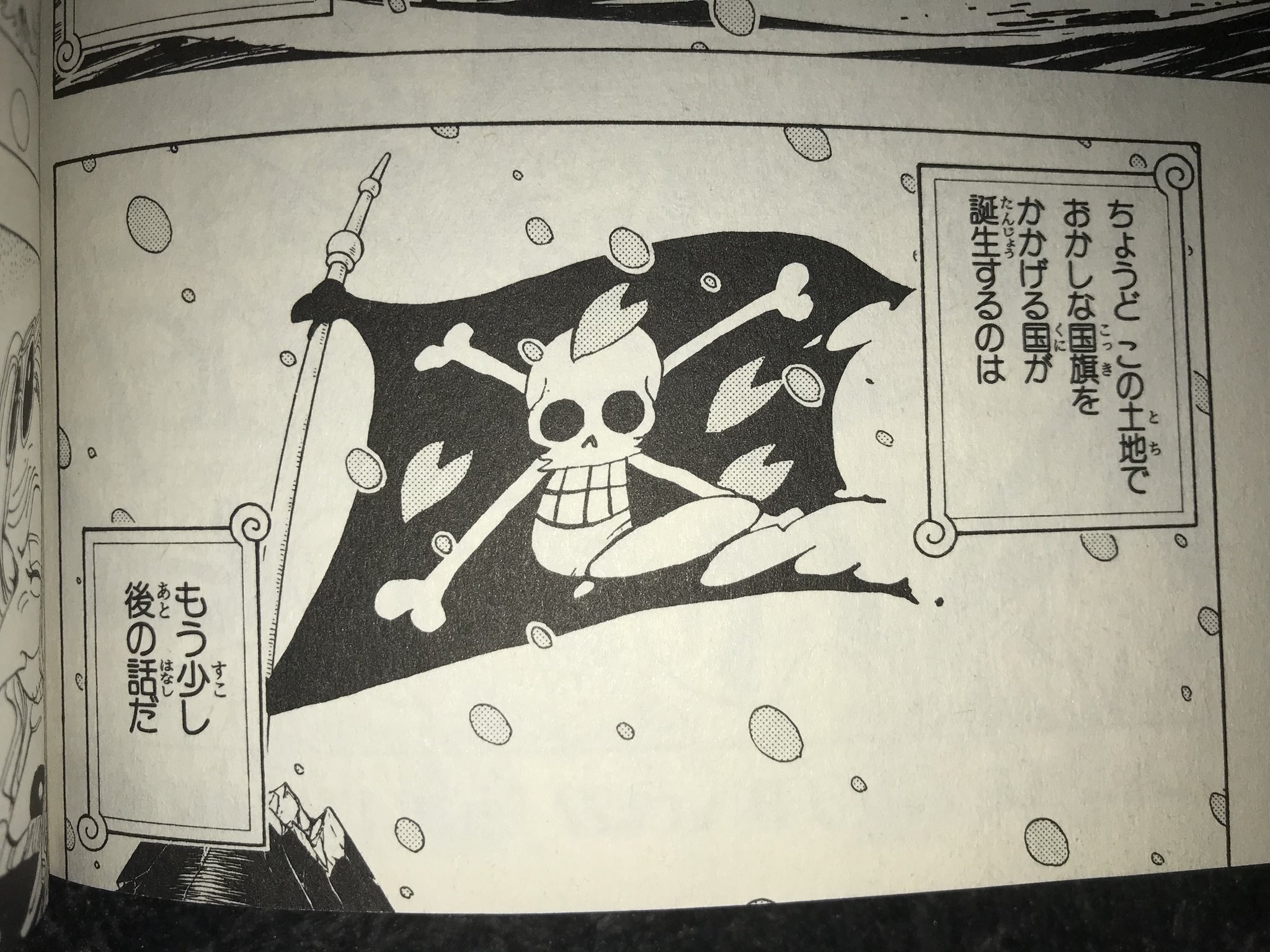 ざくろ One Piece この おかしな国旗をかかげる国が誕生 ってもうでてます まだですよね T Co 5t1pwqnaz5 Twitter