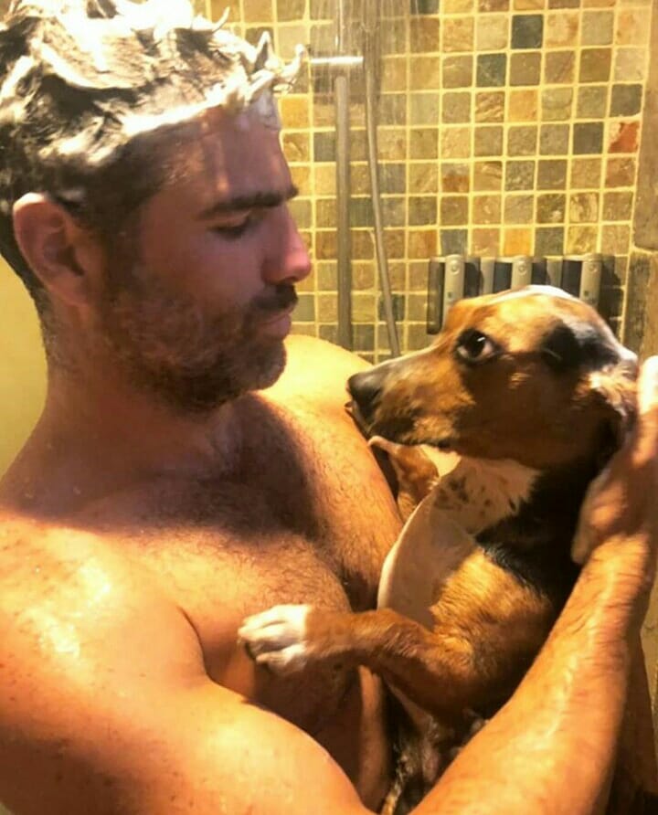 FCRManriqueESP's tweet photo. #Milamigos13 Instagram: @Milamigos13 💚🐶 Dachshund beagle rescatada por @RobertoManrique 🙌😘 https://t.co/BwNvK5mEVC