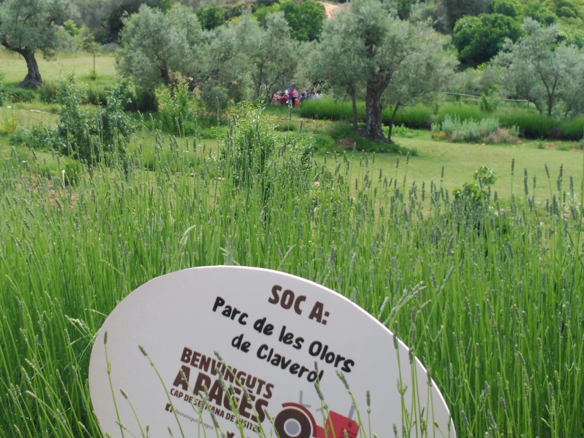 Tot a punt al #pallars jussà per les visites de <a href="/BenvingutsPages/">Benvinguts a Pagès</a> Podeu visitar <a href="/_CasaRoca/">Casa Roca</a> <a href="/CalPortale/">Cal Portalé Claverol</a> <a href="/safradelmontsec/">Safrà del Montsec</a> <a href="/casamasover/">casamasover</a> safradelpallars i <a href="/RatafiaRaiers/">Ratafia dels Raiers</a>