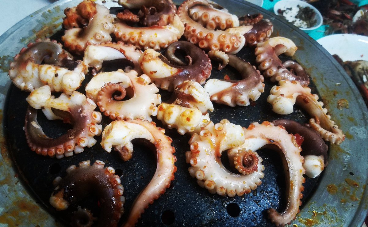 ntvblog's tweet photo. Bạch tuộc nướng - Grilled octopus #bachtuocnuong #bạchtuộc #bachtuoc #grill #seafood #homecooking #mecooking #mecook #eatfamous #eatwell #vietnamesefoods #vietnamesefood #food #foodporn #foodie #foodphotograph #foodpic #l4l #f4f #followback https://t.co/iURxmhnmJD