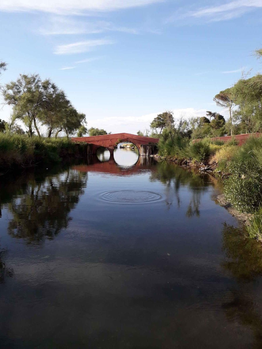 GiosaGiovanni's tweet photo. An old #fishing #farm become #paradise  #Sabaudia #proprietàscalfati #italy https://t.co/neRJrRrZUh