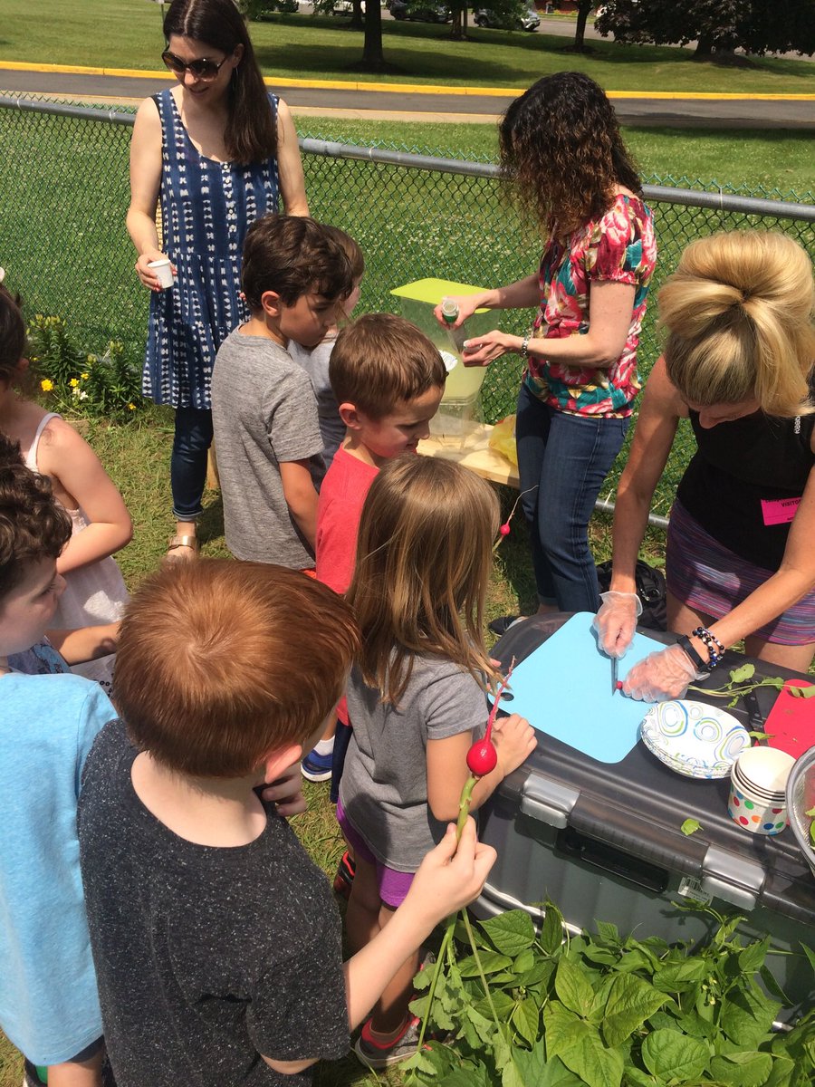 HeidiRHill's tweet image. Enjoying the fruits (or vegetables) of our labor from the garden. @WOSnews #outdoorfun #handsonlearning