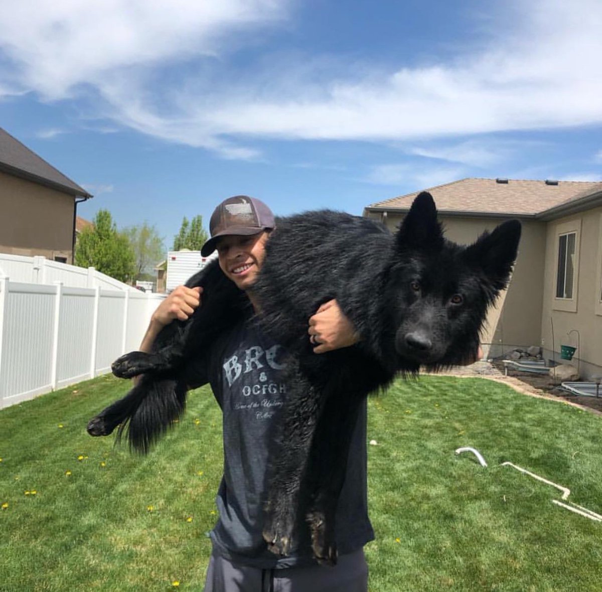 Once a puppy, always a puppy!