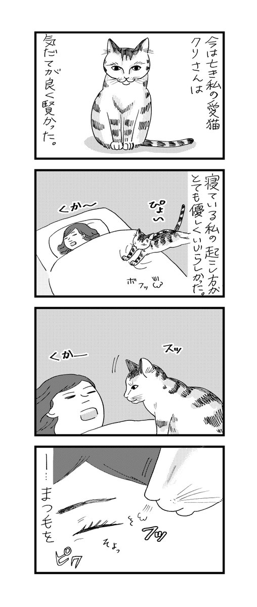 猫のクリさんの思い出。この起こし方されるのがとても好きでした。
 