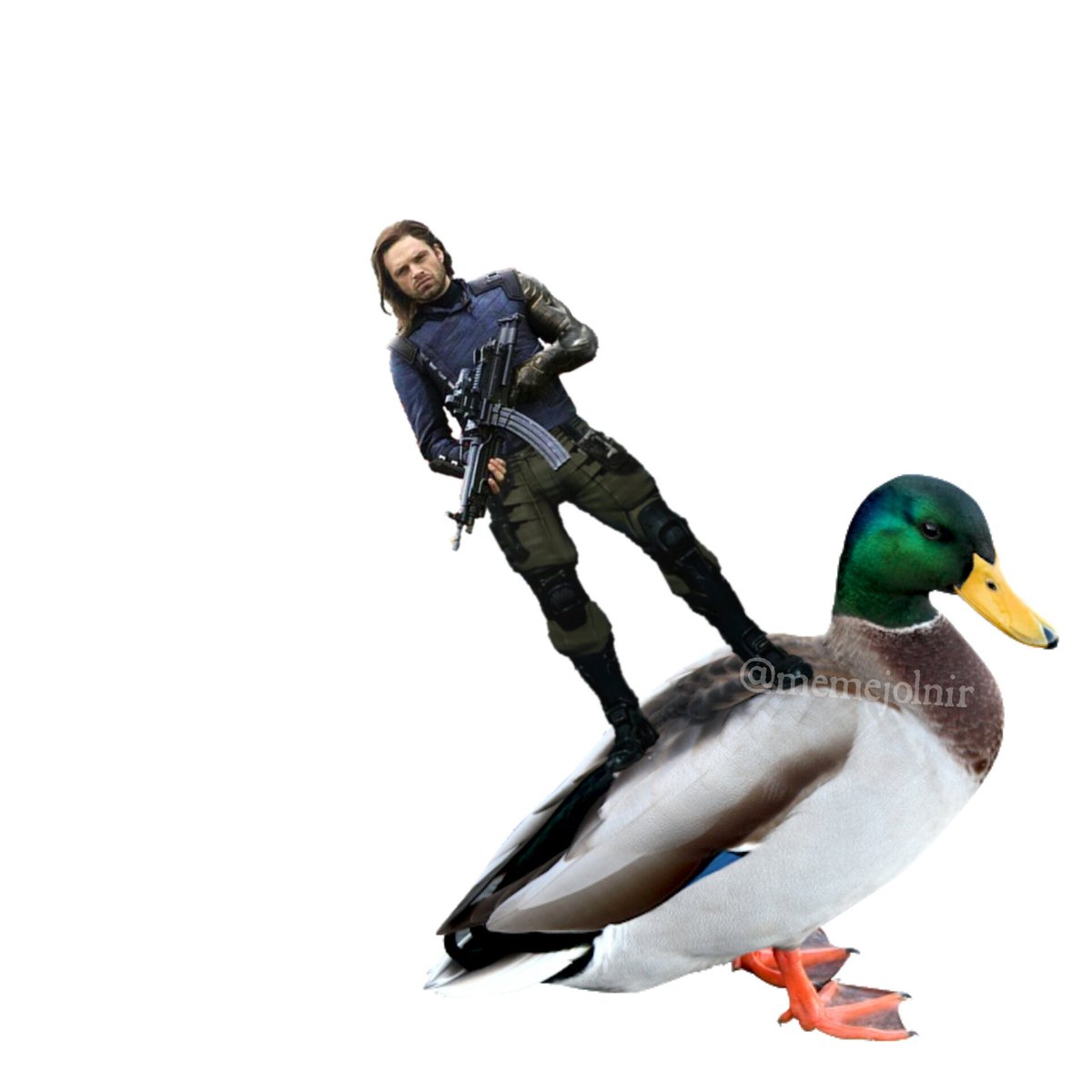 memejolnir's tweet photo. You heard of elf on the shelf. Now get ready for https://t.co/89VUNidBya