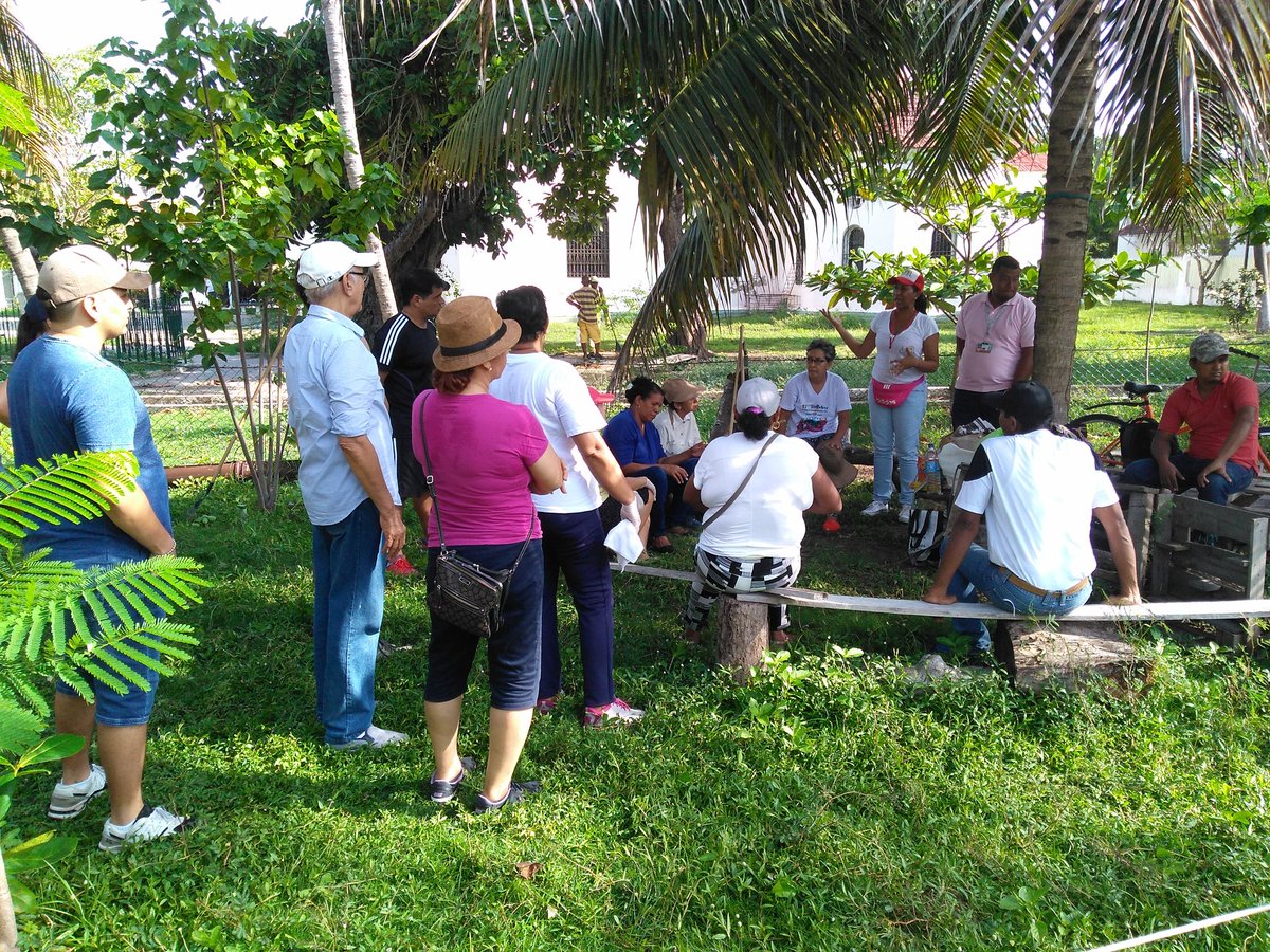 tuculturactg's tweet photo. Iniciamos nuestro #TallerHorticultura con @SENAComunica aprendiendo en #HuertaComunitaria #TerraSana agricultura urbana. Este domingo continuamos abrazando el #ParqueApolo @CorpoturismoCTG @EPACartagena @Pacaribe @fda_angel @EscuelaTallerCT @AlcaldiaCTG @CotelcoCtg https://t.co/Ce9ywiktTt