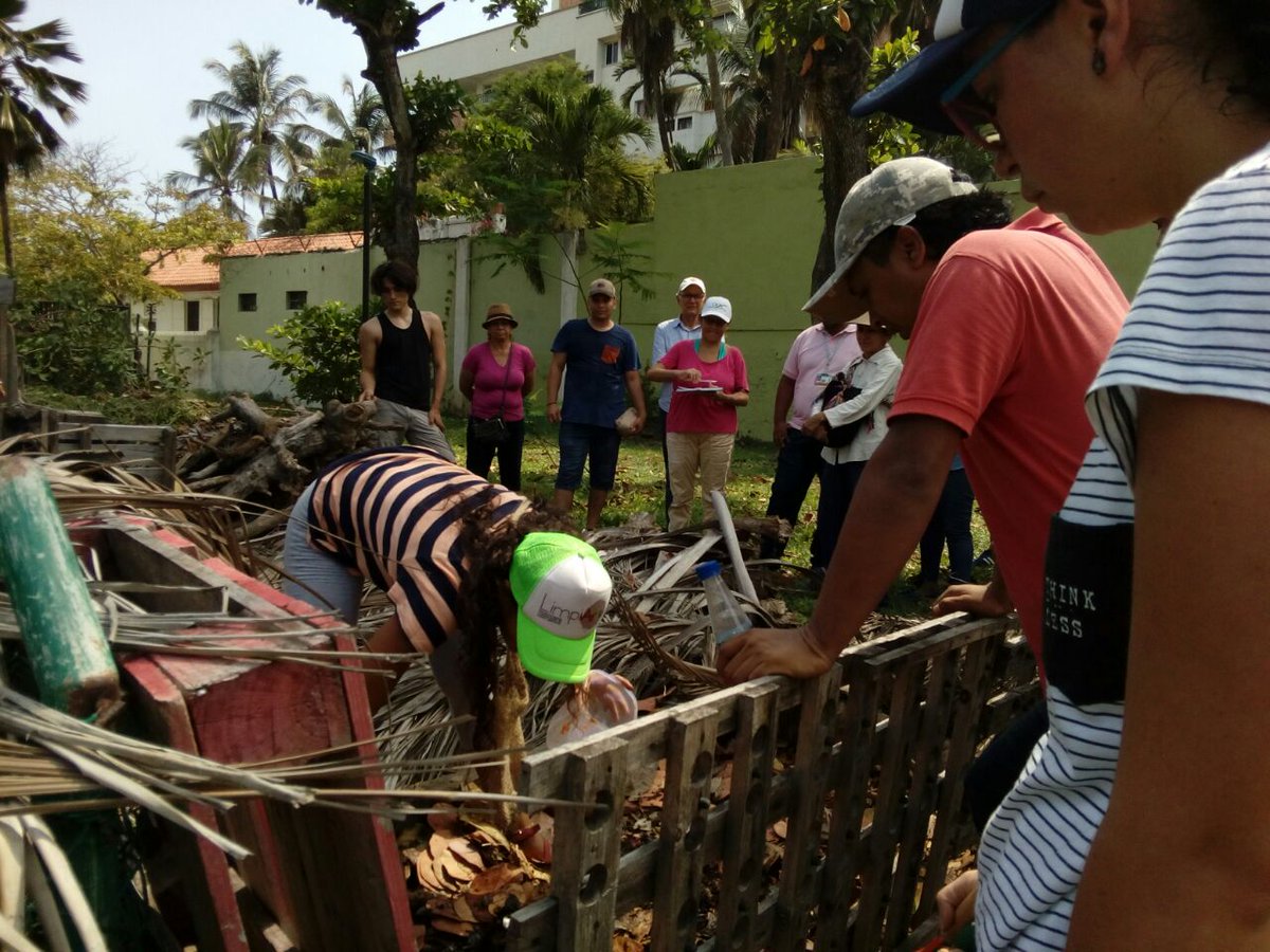 tuculturactg's tweet photo. Iniciamos nuestro #TallerHorticultura con @SENAComunica aprendiendo en #HuertaComunitaria #TerraSana agricultura urbana. Este domingo continuamos abrazando el #ParqueApolo @CorpoturismoCTG @EPACartagena @Pacaribe @fda_angel @EscuelaTallerCT @AlcaldiaCTG @CotelcoCtg https://t.co/Ce9ywiktTt