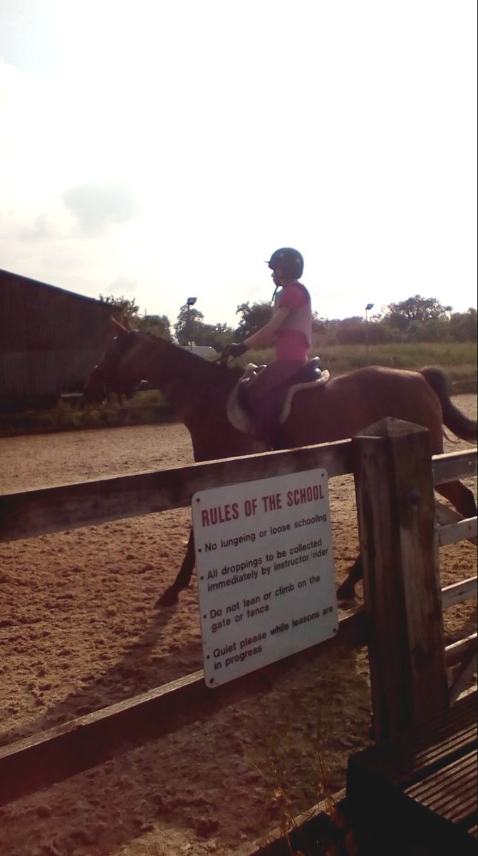 xenoteddybear's tweet photo. 2nd in Intro A #Dressage test with #angloarab Jack.
Considering how spooky and easily distracted he can be I did bloody well. #equestrian #horse https://t.co/5eBiilJ9J1